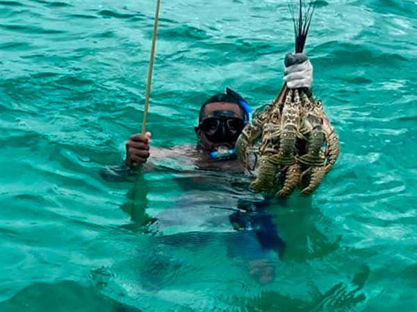 Placencia Wildside Adventures|Home